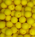 #17 LEMON 15MM SOLID (10ct)
